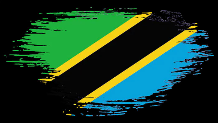 انواع ویزای تانزانیا