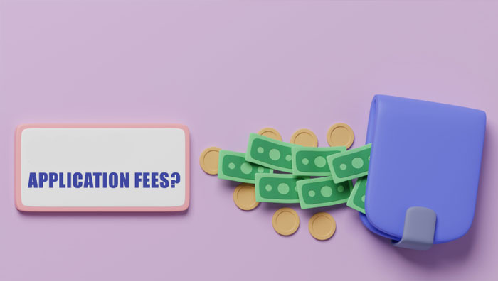 اپلیکیشن فی چیست؟